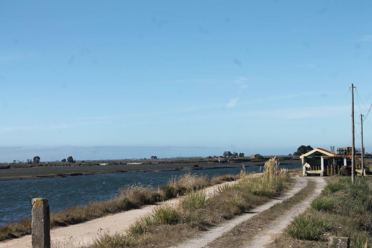 Casa Clara Villa Aveiro Eksteriør bilde